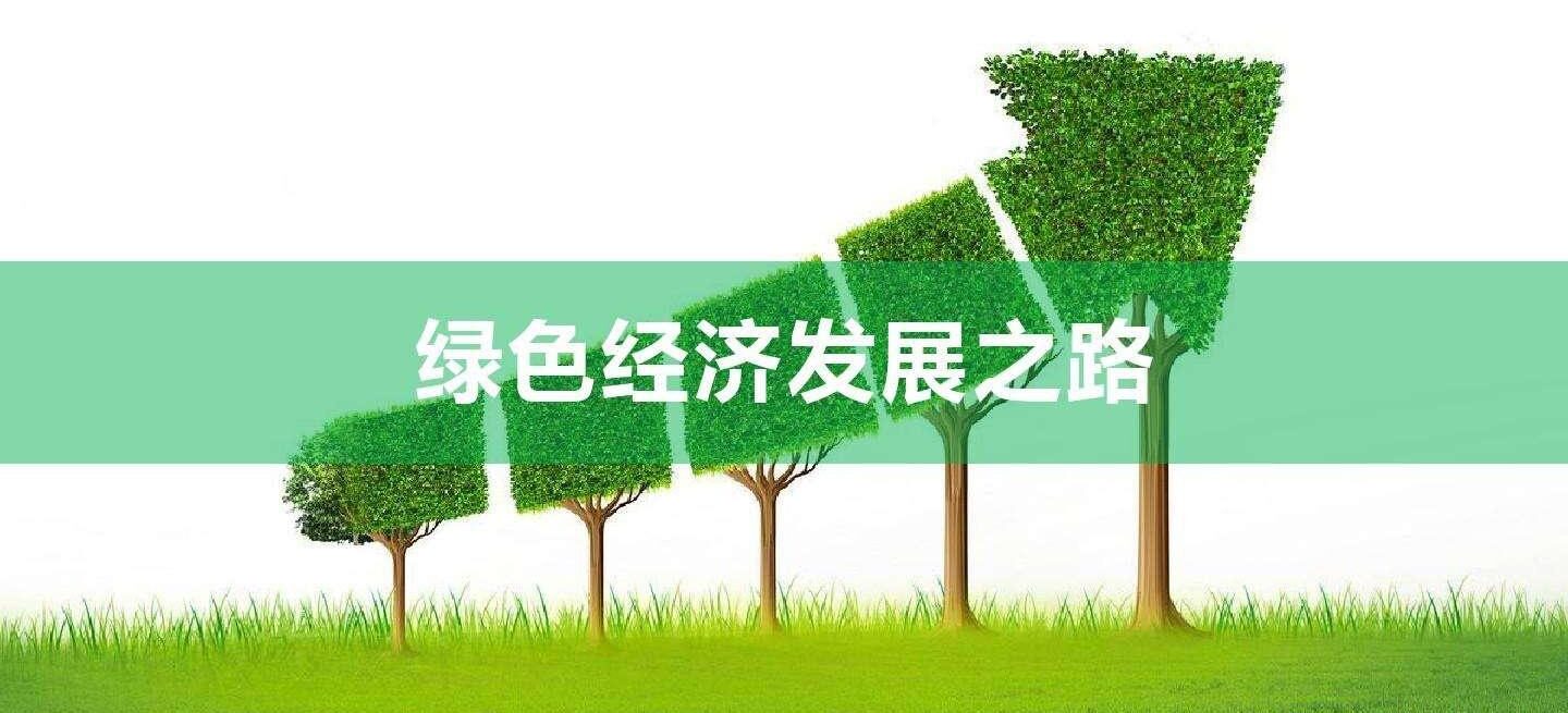 企业绿色使用评价报告